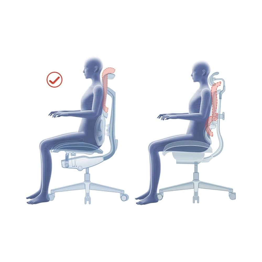Ergonomic Chair Net, Executive Home Office, with Waist Support, Backrest(D)