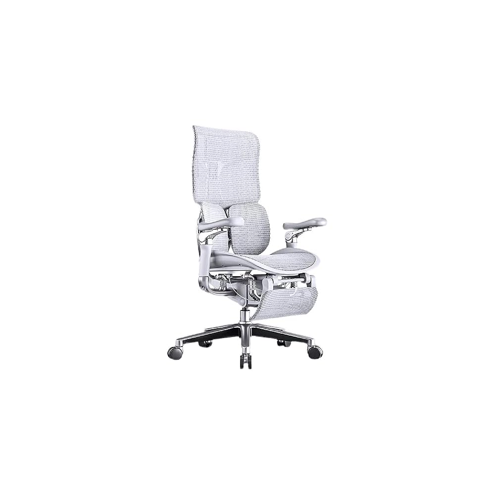 Ergonomic Chair Net, Executive Home Office, with Waist Support, Backrest(D)