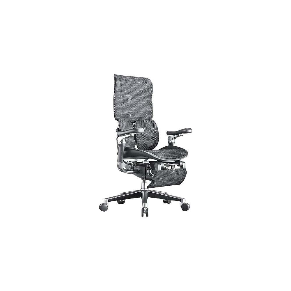 Ergonomic Chair Net, Executive Home Office, with Waist Support, Backrest(D)