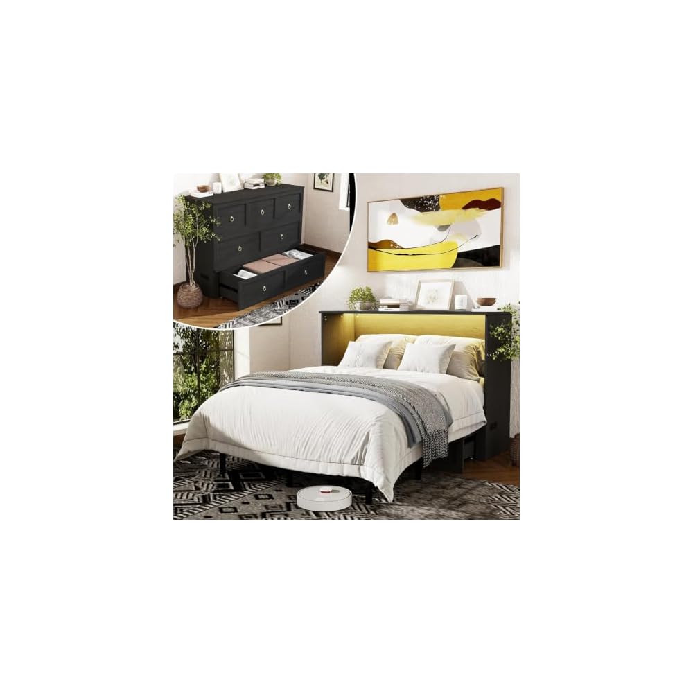 Ihanherry Farmhouse Queen Murphy Bed with Storage Drawer,Cabinet Bed with LED Lights & Charging Station, Space Saving Wall Bed for Small Bedroom/Home Office, Noise Free & Easy Assembly, Black