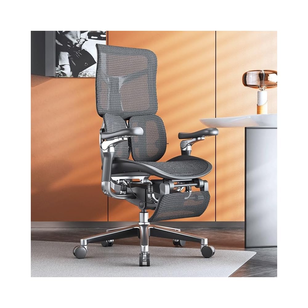 Ergonomic Chair Net, Executive Home Office, with Waist Support, Backrest(D)