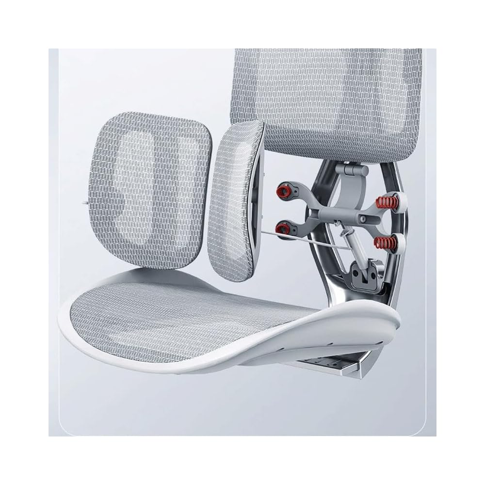 Ergonomic Chair Net, Executive Home Office, with Waist Support, Backrest(D)