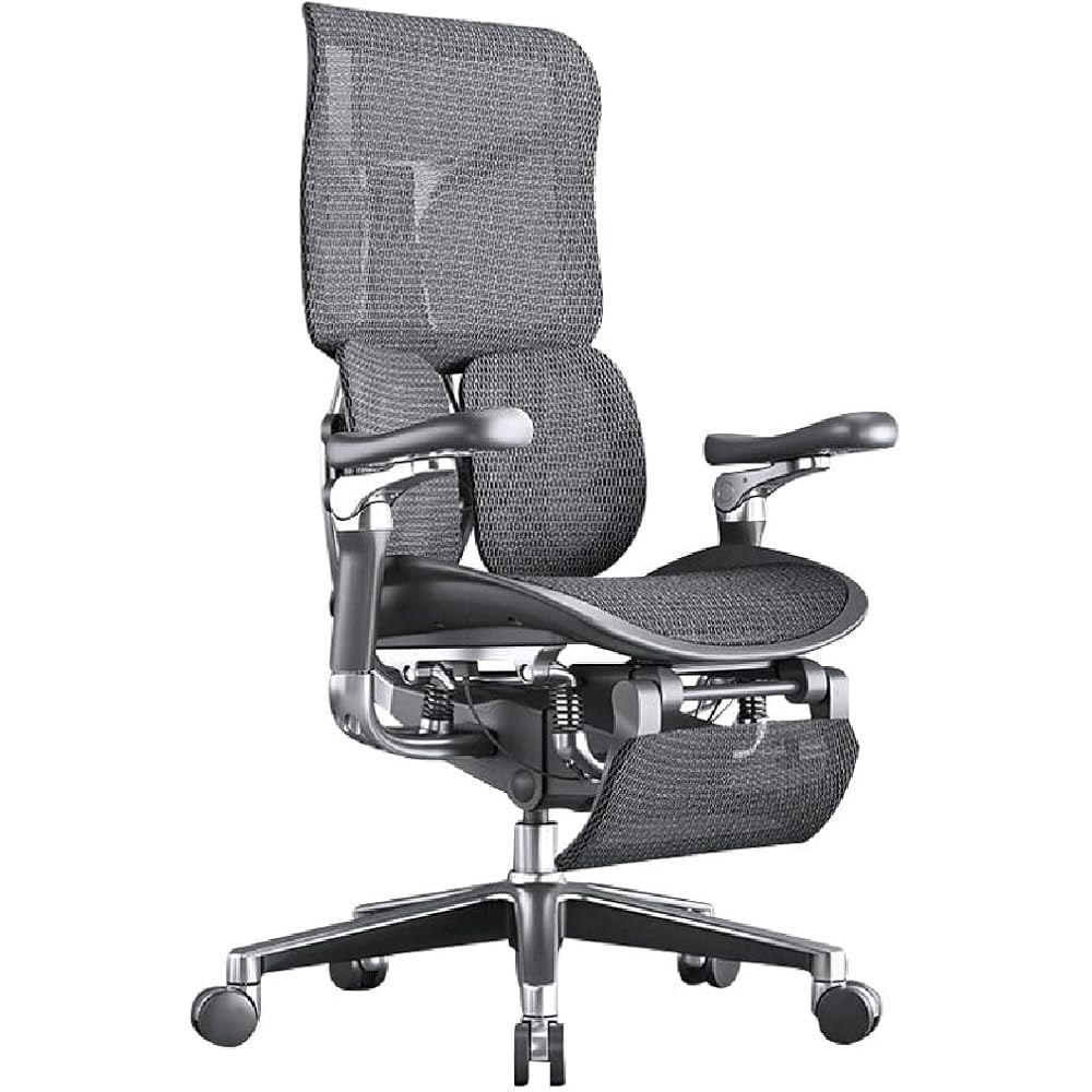 Ergonomic Chair Net, Executive Home Office, with Waist Support, Backrest(D)