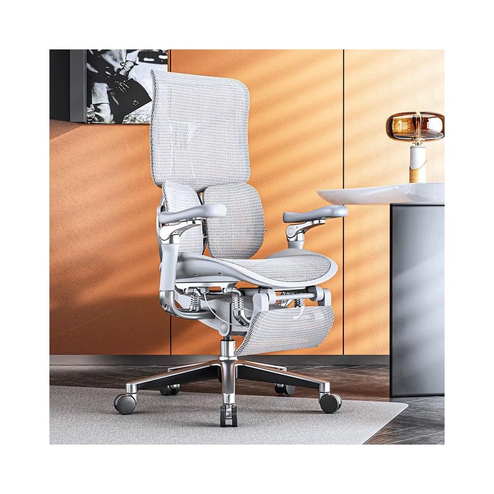 Ergonomic Chair Net, Executive Home Office, with Waist Support, Backrest(D)